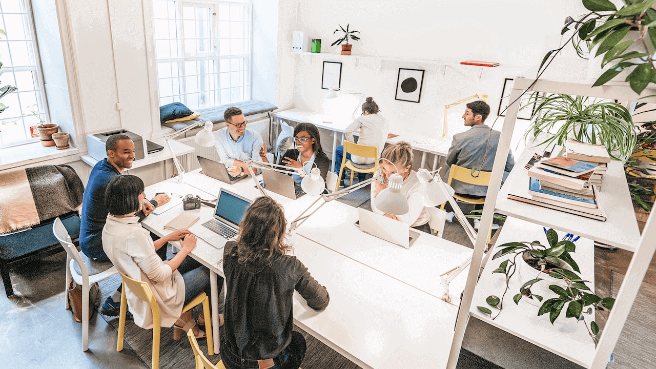 employee-board-service-program.png
