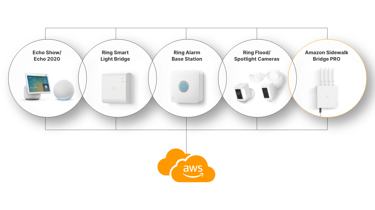 Amazon Sidewalk Bridge Devices